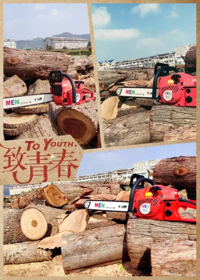뜨거운 판매 58cc 유형 중국 정원 도구 가솔린 나무 트리머 전기톱